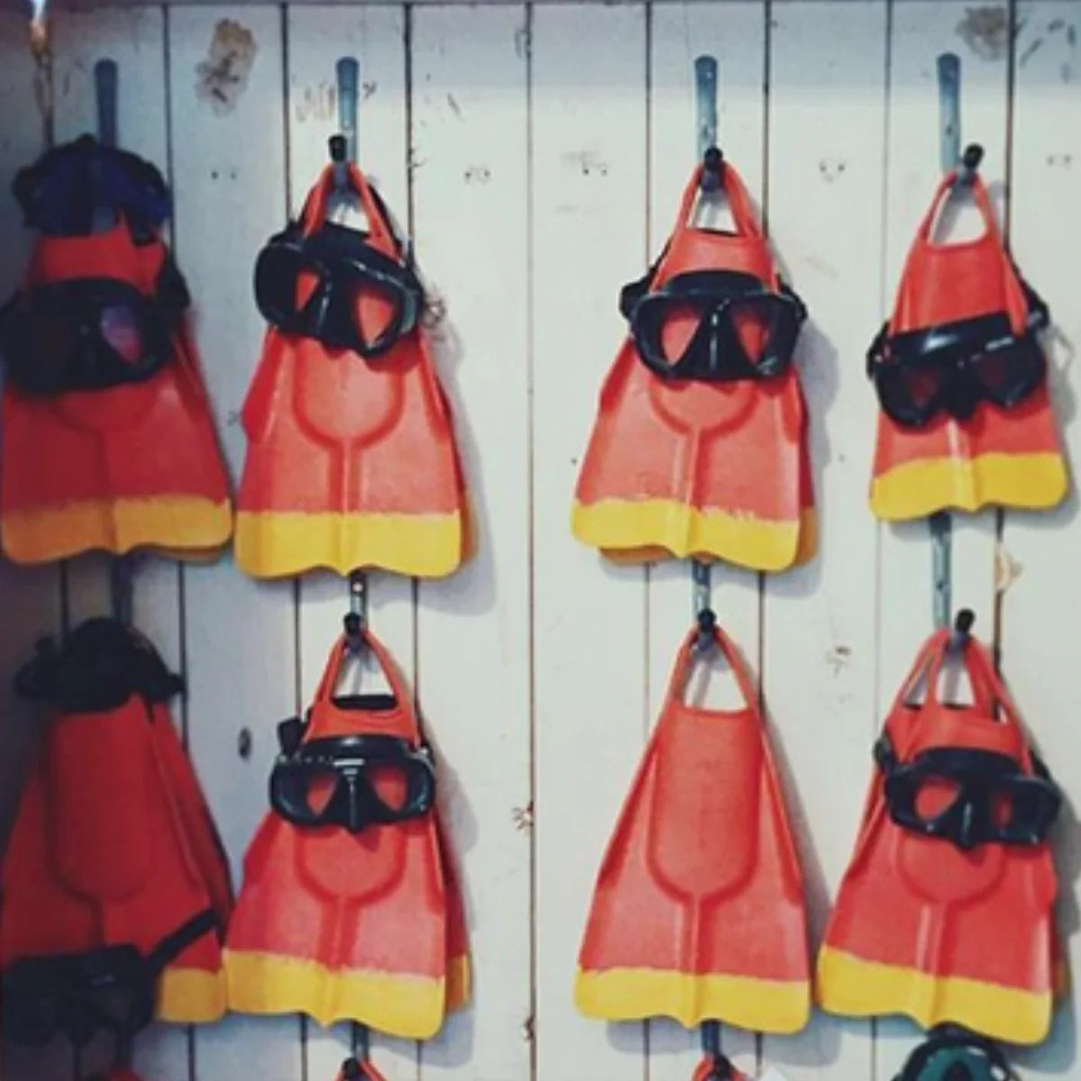 DA FIN - Palmes bodyboard, bodysurf, lifeguard - Red / Yellow