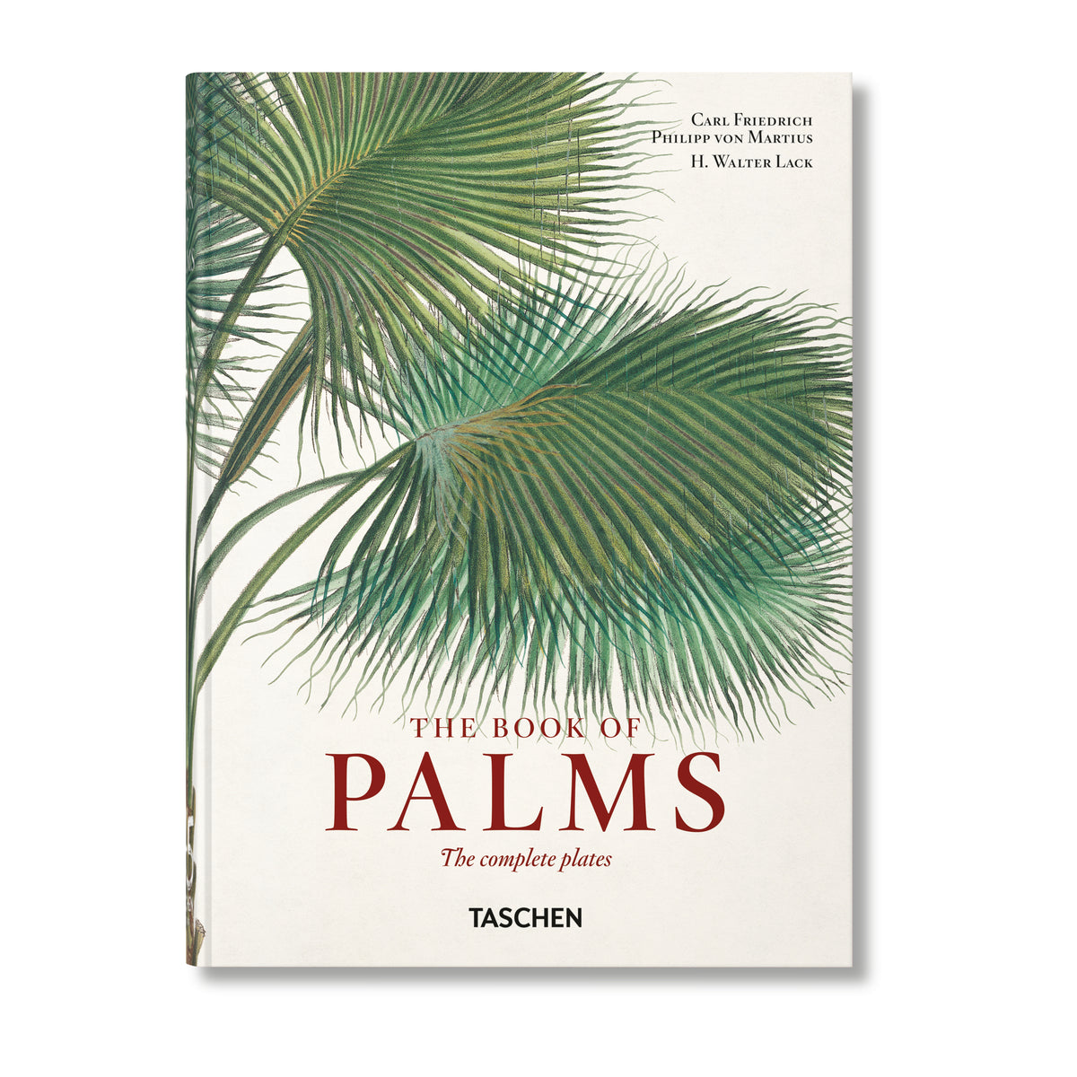 Taschen - Book - Martius. The Book of Palms