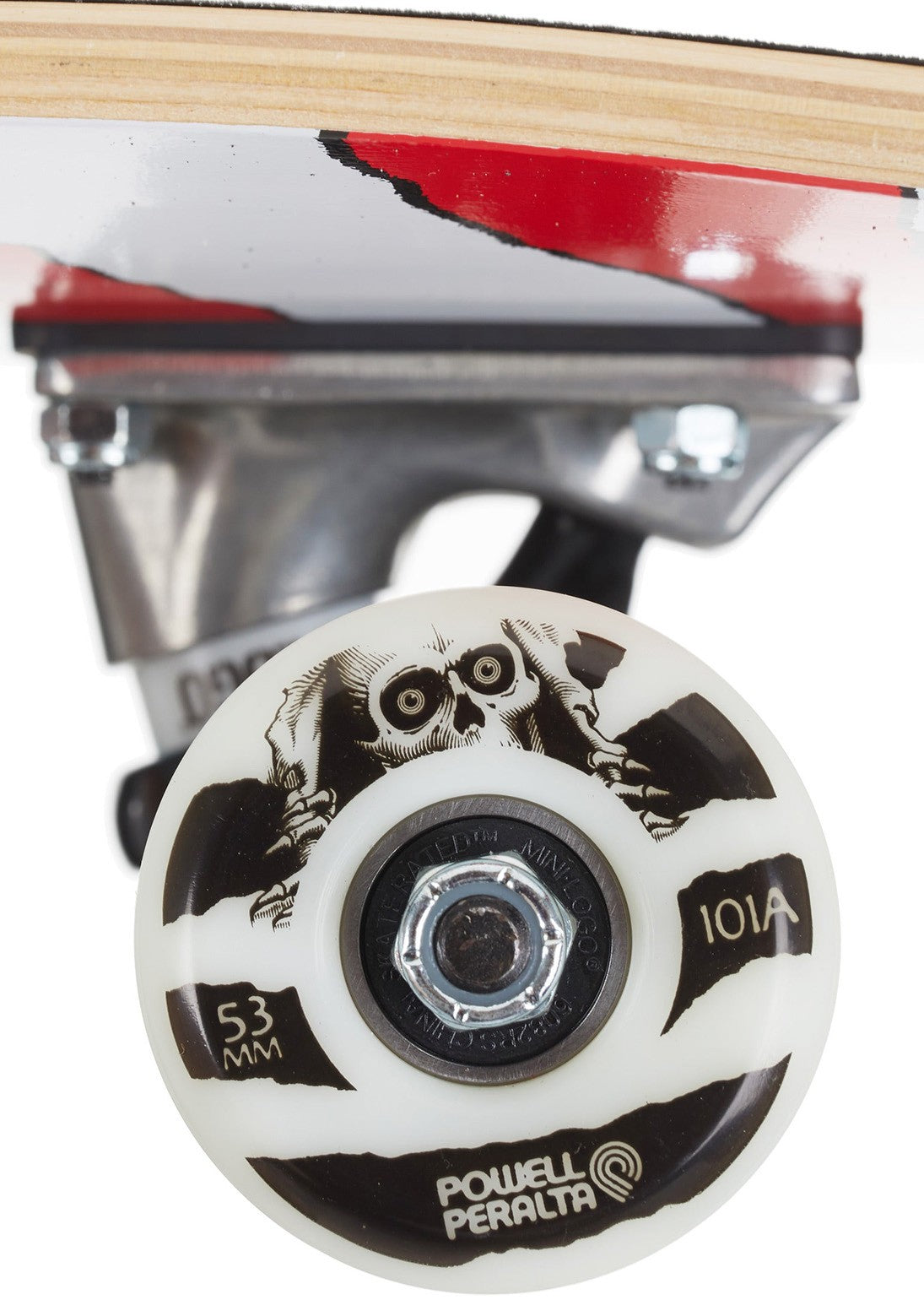 Powell Peralta - Ripper Complete 8.0 x 31.45 Inch - Red